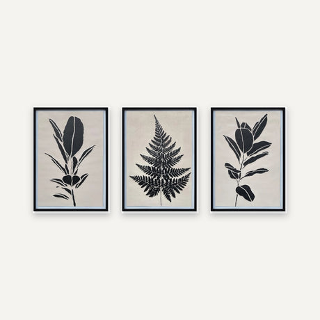 Set de 3 cuadros · Sombra Botánica · 52×72 c/u